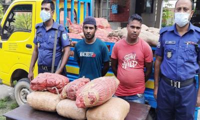 আলুর পিকআপে মিলল ২৫ কেজি গাঁজা, আটক ২