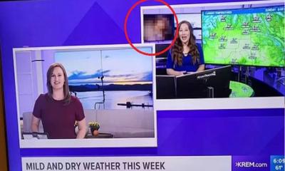 আবহাওয়ার খবরের মধ্যে পর্নো ভিডিও