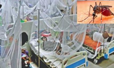 দেশে ডেঙ্গু আক্রান্ত হয়ে আরও ২১১ জন হাসপাতালে ভর্তি