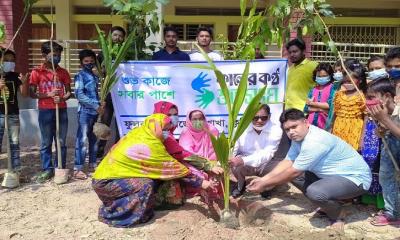 ফুলবাড়ীতে শুভসংঘের বৃক্ষরোপণ কর্মসূচি