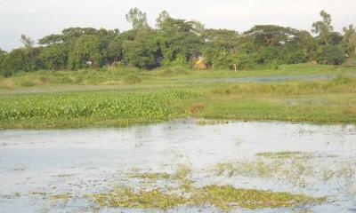 রূপগঞ্জের ডুবন্ত গ্রাম