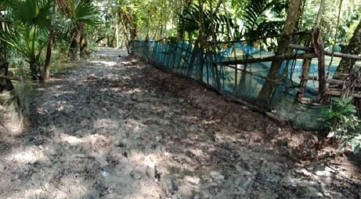 রাস্তা নয়, যেন ধান চাষের জমি!