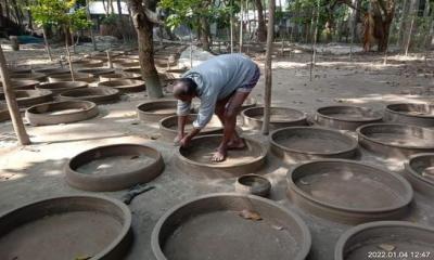 ভালো নেই খোকসার মৃৎশিল্পীরা
