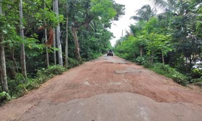 নড়াইলে সড়ক যেন মরণফাঁদ