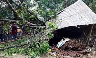 দুই জেলায় কালবৈশাখী-বজ্রপাতে ৮ জনের মৃত্যু