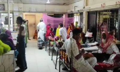 টাঙ্গাইলে একদিনে ডেঙ্গুতে আক্রান্ত ২৭ জন
