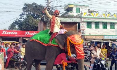 ঝিনাইদহে হাতির পিঠে চড়ে যুবকের বিয়ে