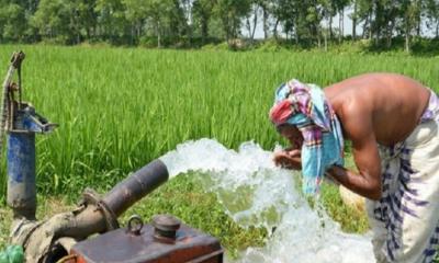 রাণীশংকৈলে প্রচণ্ড দাবদাহে মানুষের নাভিশ্বাস, পুড়ছে খেতের ফসল