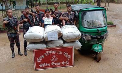 চুনারুঘাটে সীমান্তে ভারতীয় ৩২৫ কেজি চা- পাতাসহ যুবক গ্রেপ্তার