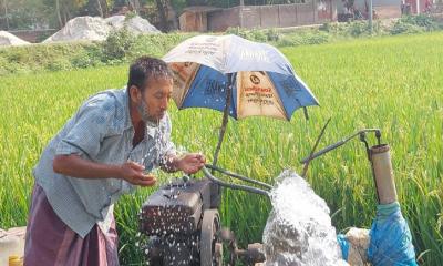 পাঁচ জেলায় মৃদু তাপপ্রবাহ