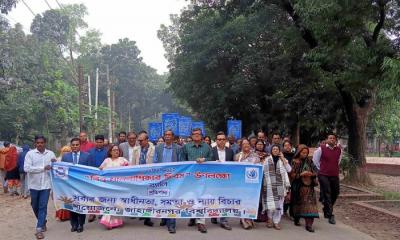 জাবিতে আন্তর্জাতিক মানবাধিকার দিবস পালিত