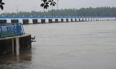 ফের বাড়ছে তিস্তার পানি, খুলে দেওয়া হয়েছে ব্যারাজের ৪৪ জলকপাট