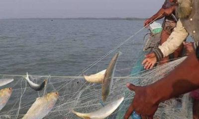 মধ্যরাত থেকে ইলিশ ধরা নিষিদ্ধ