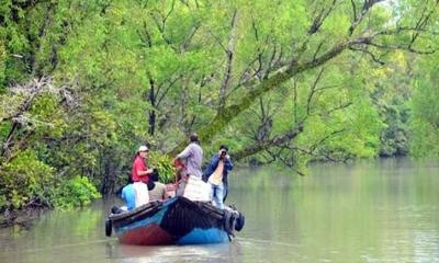 সুন্দরবনে ৪ দস্যু আটক, আগ্নেয়াস্ত্র জব্দ