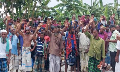 মানিকগঞ্জে পদ্মা নদীতে ৪৭টি গরু নিয়ে ট্রলার ডুবি