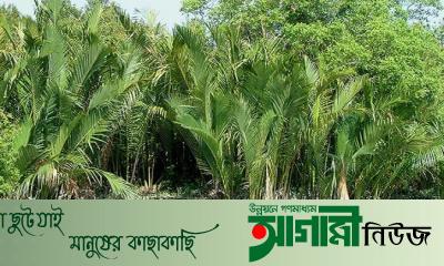 Rus yigiti dogistonlik ayolni sikadi.